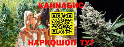 spice Камышлов