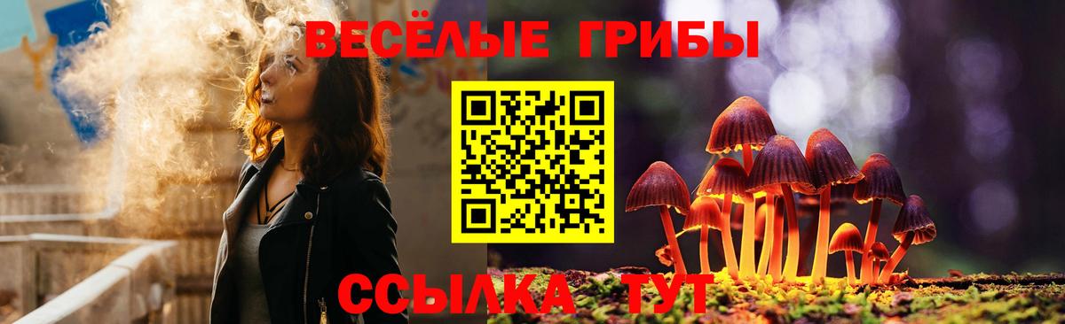 Галлюциногенные грибы мицелий Калач-на-Дону